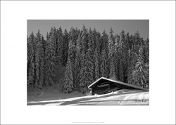 Chalet NB