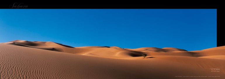 SAHARA